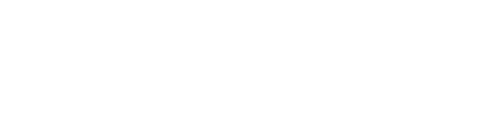 A1
