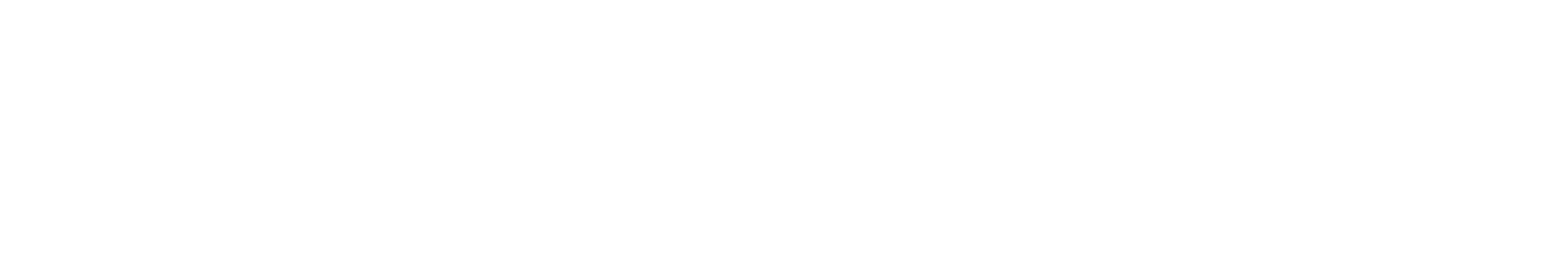 Logo_Hubvisory_Blanc